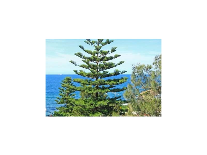 7/53 Corrimal Street, Wollongong NSW 2500