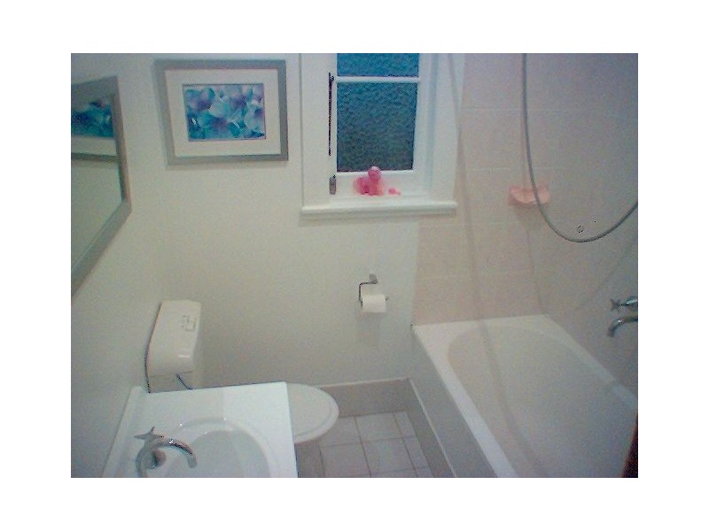 12 William Street, Figtree NSW 2525