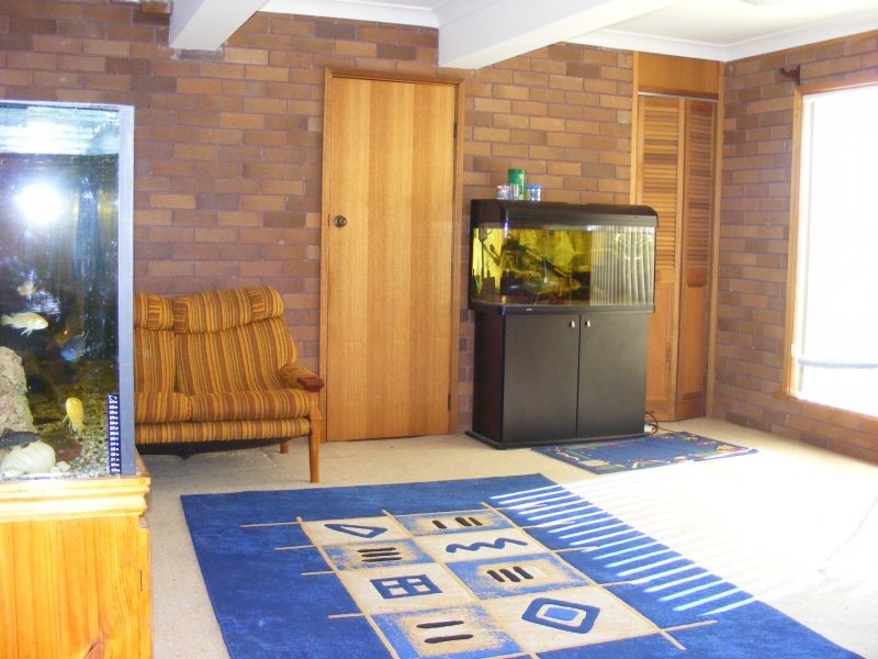 53 Iola Avenue, Farmborough Heights NSW 2526