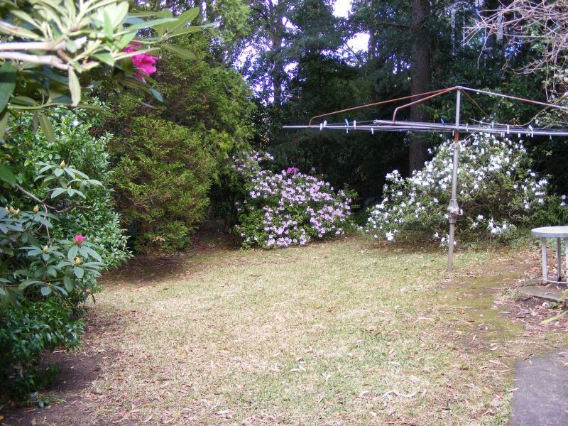 37 Ramah Avenue, Mount Pleasant NSW 2519