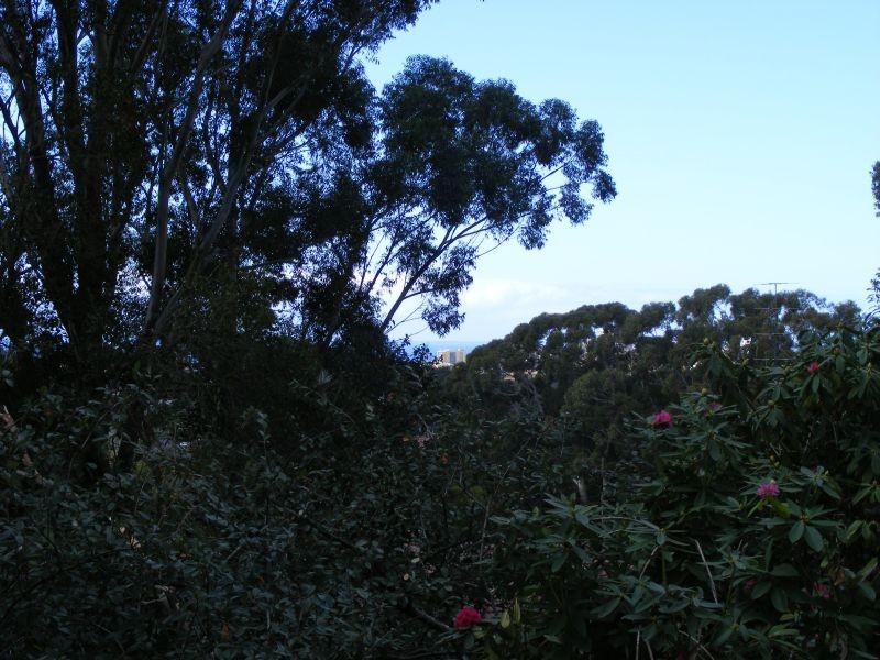 37 Ramah Avenue, Mount Pleasant NSW 2519