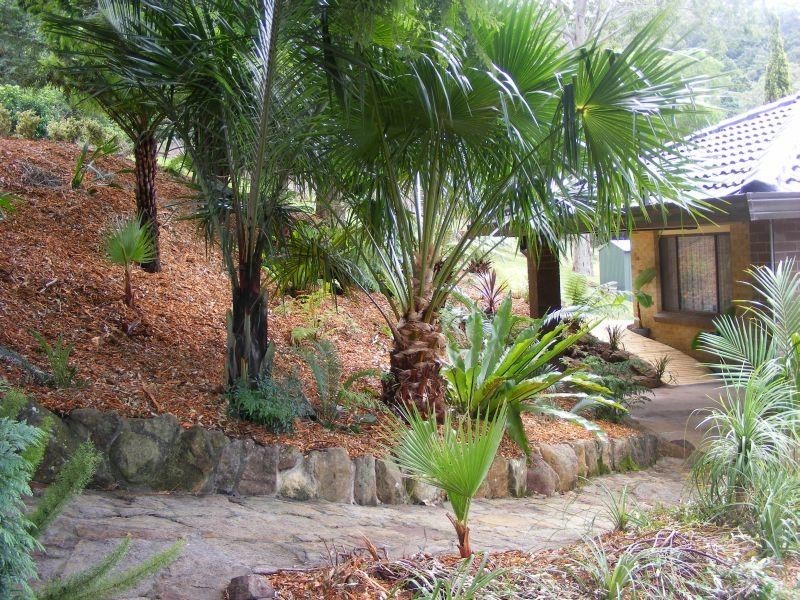 60 Morandoo Avenue, Mount Keira NSW 2500
