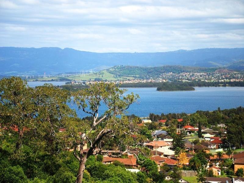 49a Whimbrel Avenue, Lake Heights NSW 2502