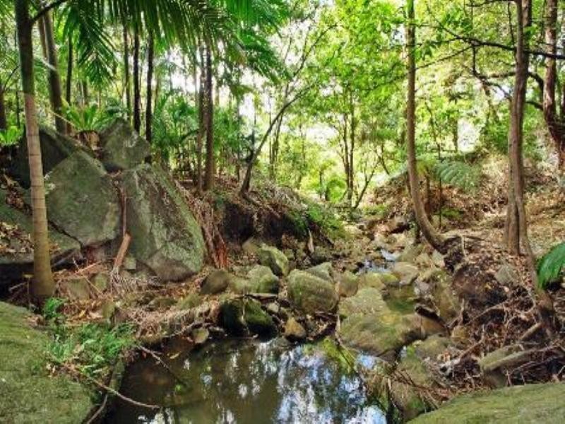 482 Lawrence Hargrave Drive, Wombarra NSW 2515