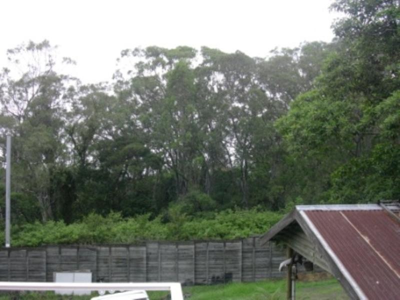 41 Fairloch Avenue, Farmborough Heights NSW 2526