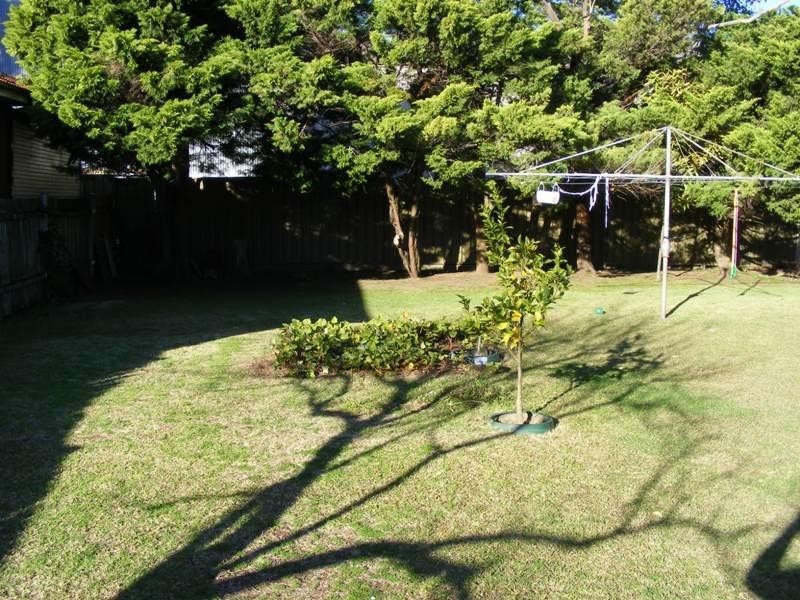 23 Alexander Street, Fairy Meadow NSW 2519