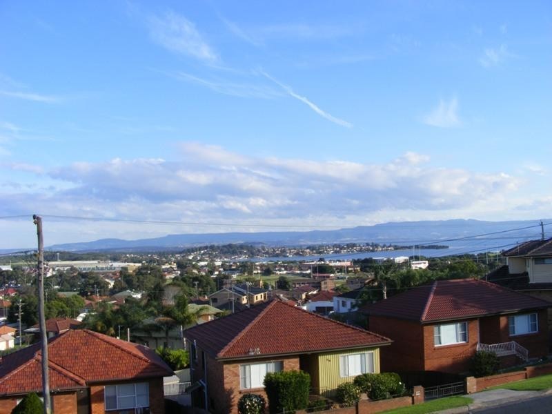 63 Donaldson Street, Port Kembla NSW 2505