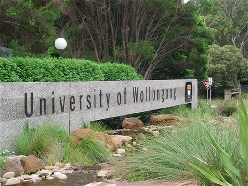 6/15 Hillview Avenue, Gwynneville NSW 2500