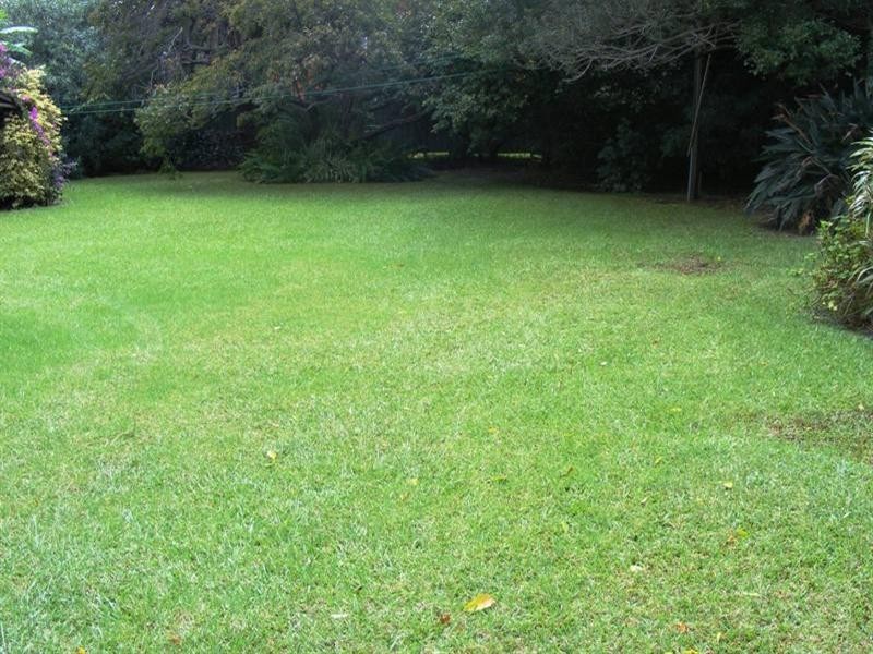 20 Soudan Street, Fairy Meadow NSW 2519