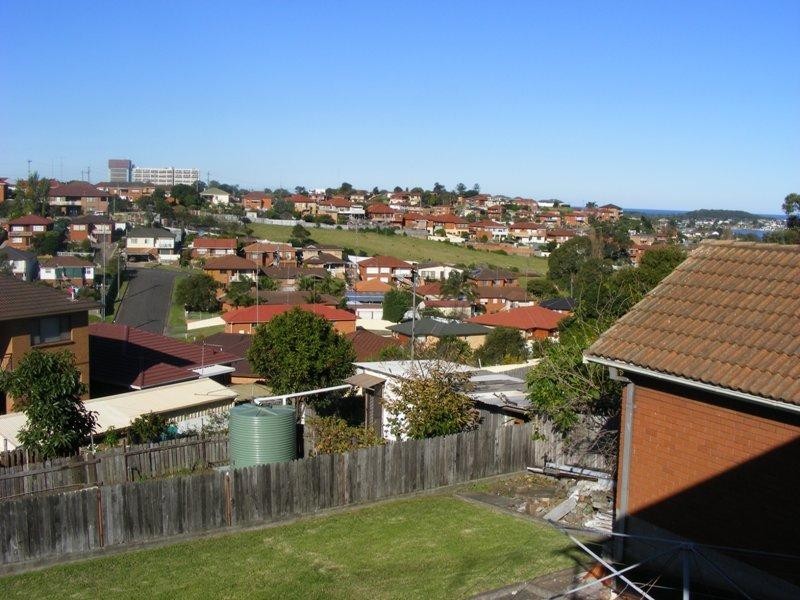 63 Weringa Avenue, Lake Heights NSW 2502