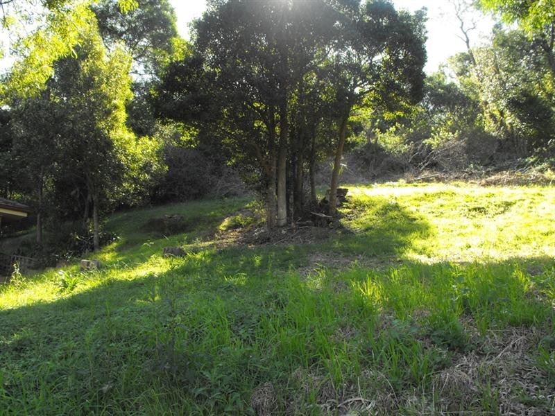 36 Sandalwood Road, Farmborough Heights NSW 2526