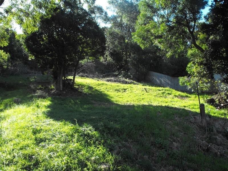 36 Sandalwood Road, Farmborough Heights NSW 2526