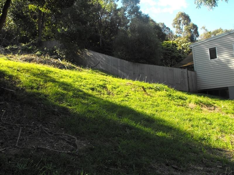 36 Sandalwood Road, Farmborough Heights NSW 2526