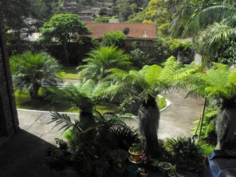 104 O’Briens Road, Figtree NSW 2525