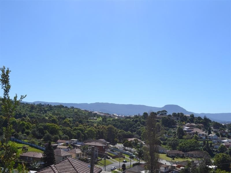 58 Auburn Parade, Cringila NSW 2502