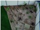 2 Scenic Place, Berkeley NSW 2506