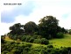 2 Scenic Place, Berkeley NSW 2506