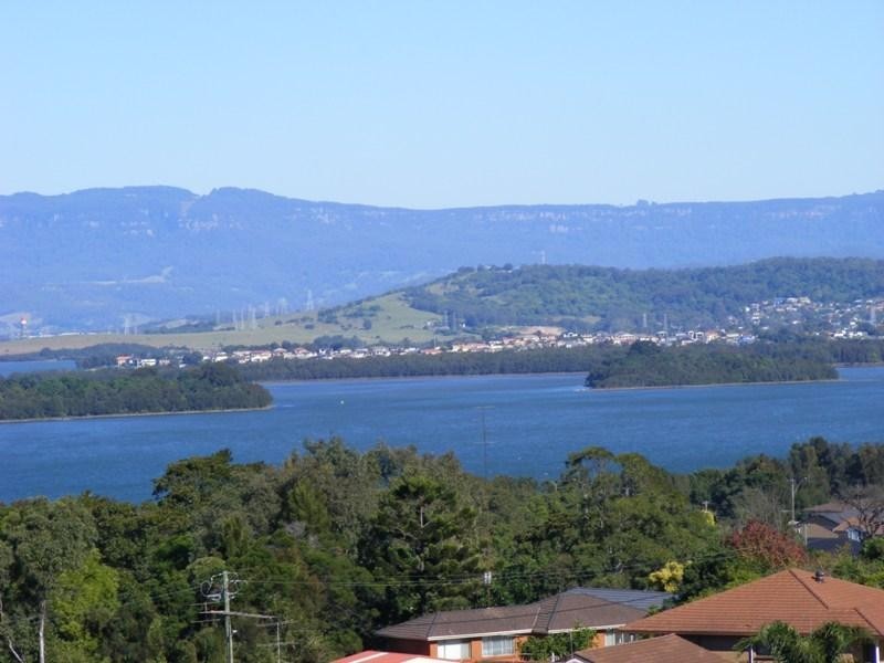 29 Cormorant Place, Berkeley NSW 2506