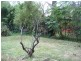 37B St Johns Avenue, Mangerton NSW 2500