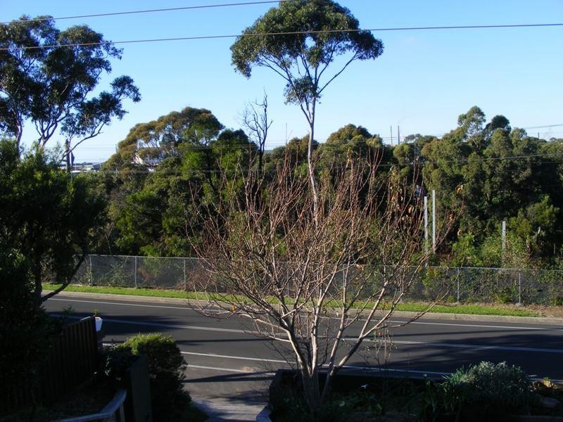 214 Gladstone Avenue, Mount Saint Thomas NSW 2500