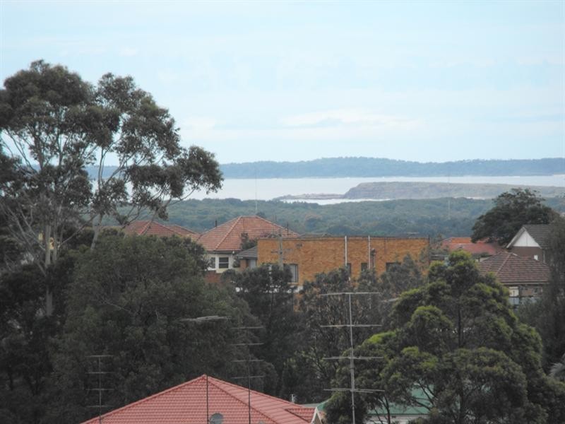 8 Hingston Close, Lake Heights NSW 2502