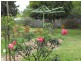 57 Essex Street, Berkeley NSW 2506