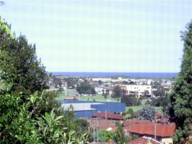 3/314 Cowper Street, Warrawong NSW 2502