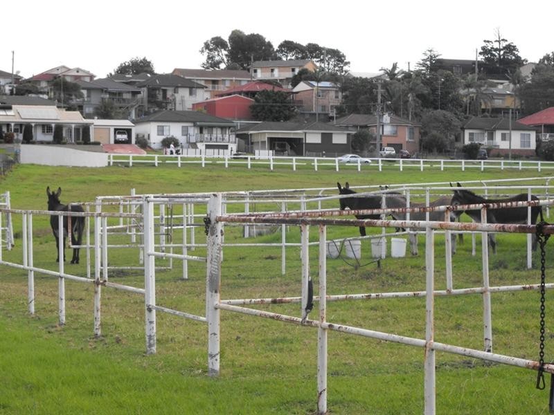150 Kanahooka Road, Kanahooka NSW 2530