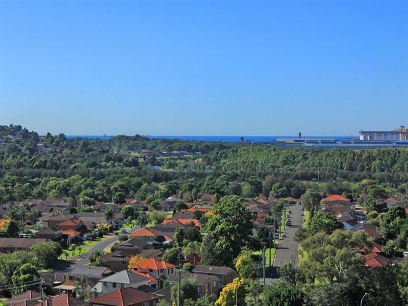 30 Sorensen Drive, Figtree NSW 2525