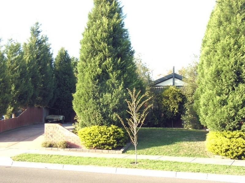 33 Pitfield Crescent, Rowville VIC 3178