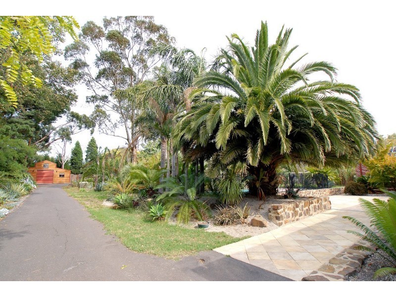 8 Norris Road, Rowville VIC 3178