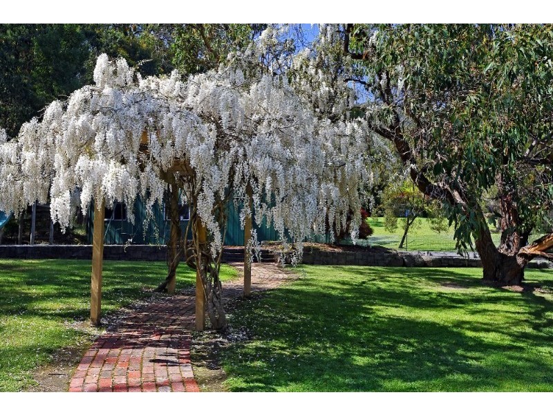 0 Cascade Court, Montrose VIC 3765