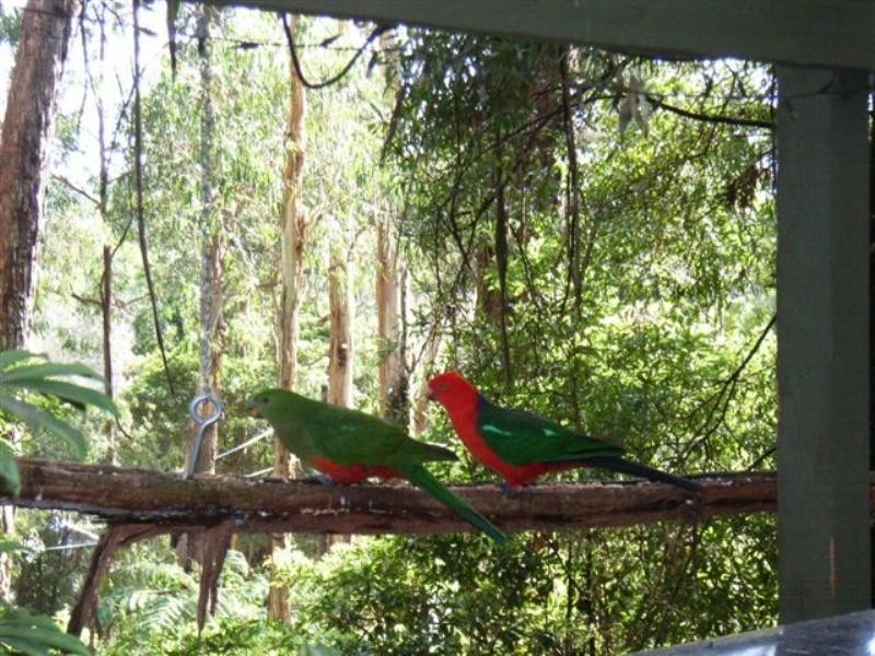 88 Claremont Avenue, The Basin VIC 3154