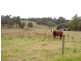 Lot 4 Edebohls Road, Narre Warren East VIC 3804