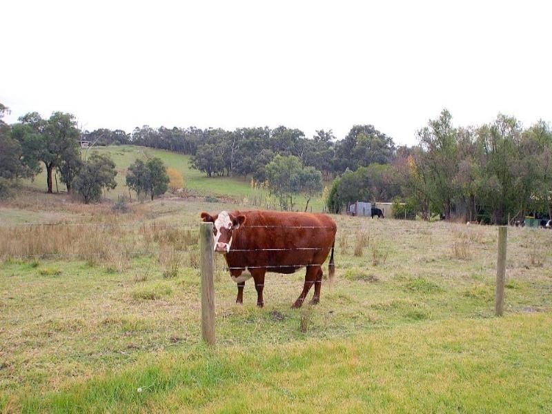 Lot 4 Edebohls Road, Narre Warren East VIC 3804