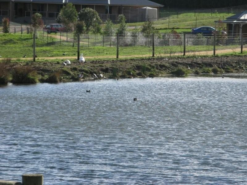 97 Brundrett Road, Narre Warren North VIC 3804
