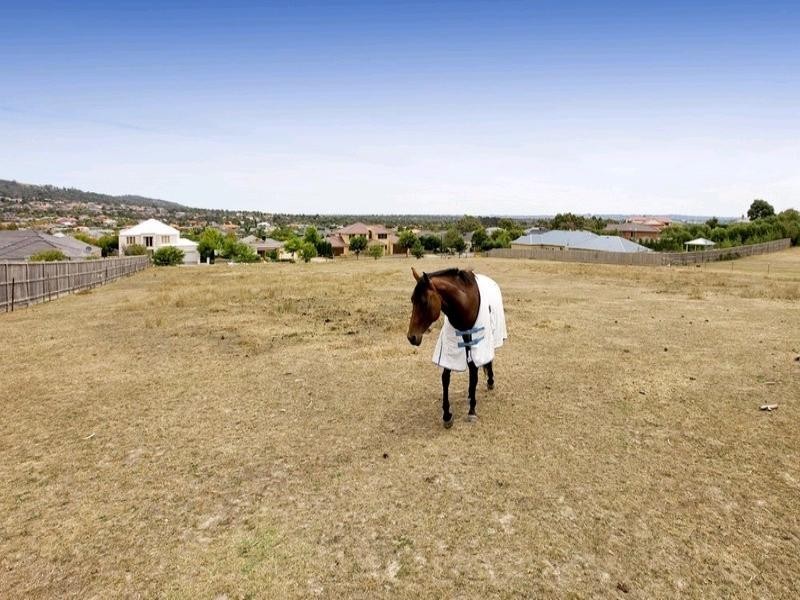 61 Grange Drive, Lysterfield VIC 3156