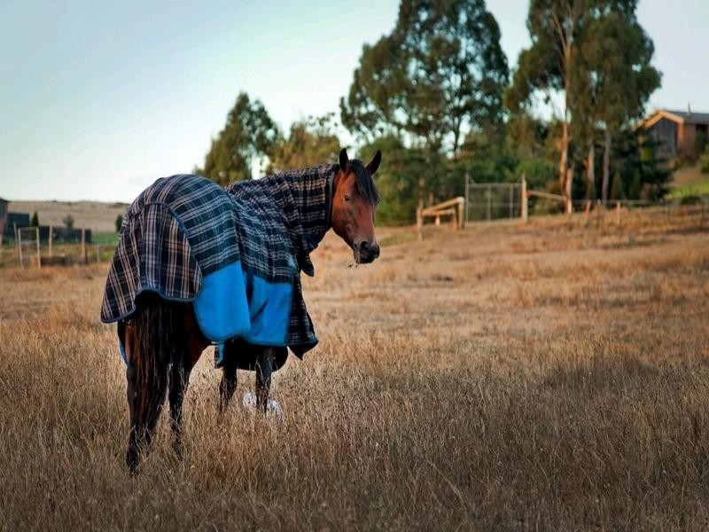 61 Grange Drive, Lysterfield VIC 3156