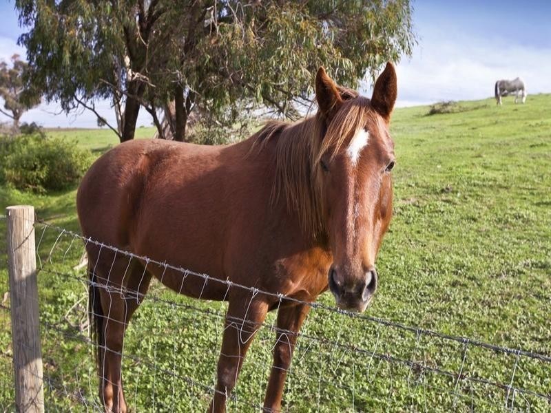 2 Panorama Court, Lysterfield South VIC 3156