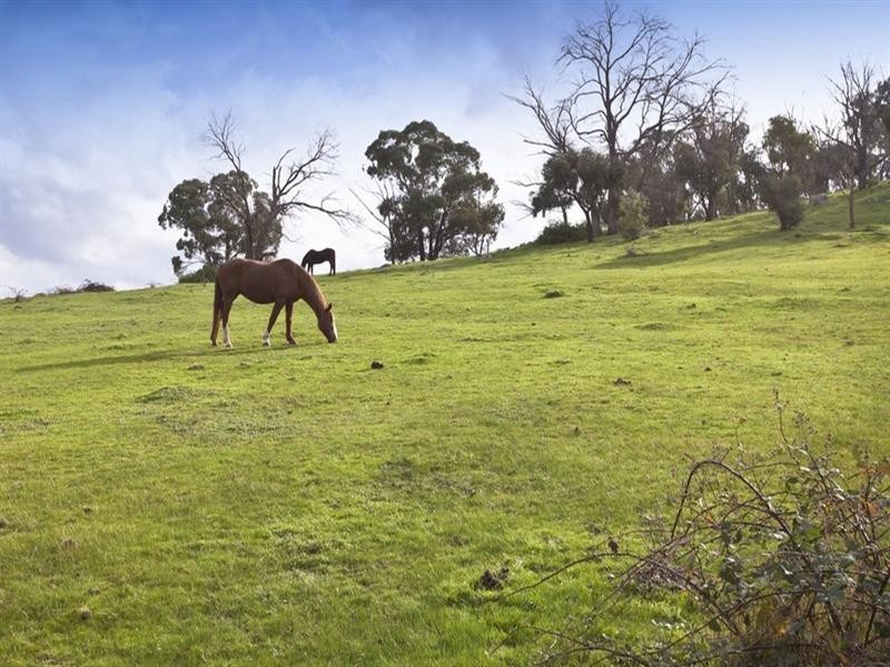 2 Panorama Court, Lysterfield South VIC 3156