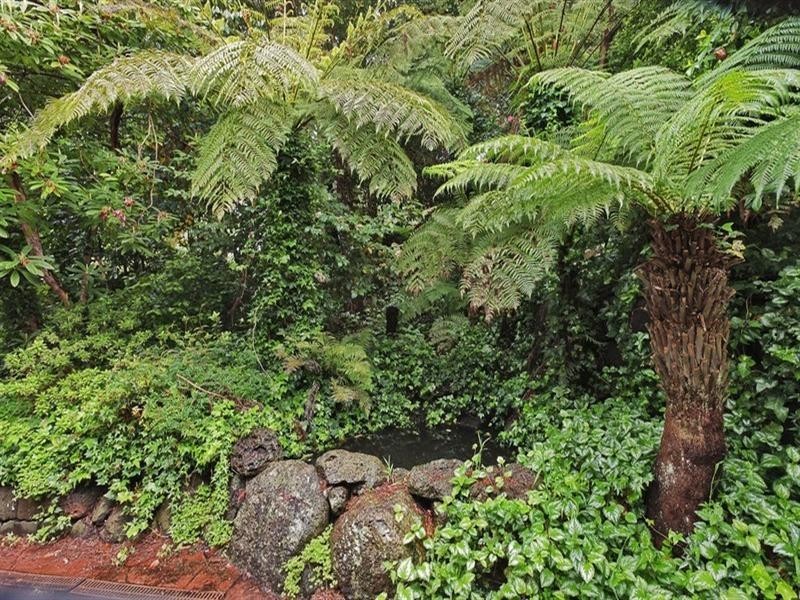 7 Skipton Road, Olinda VIC 3788