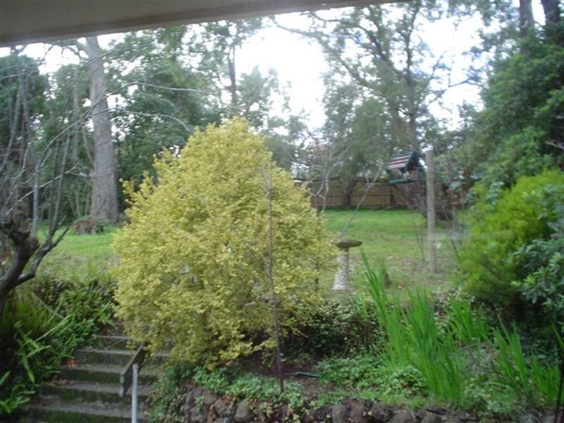 11 Hastings Avenue, Boronia VIC 3155