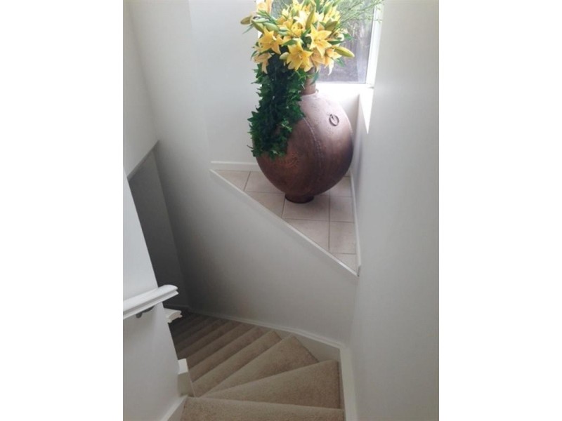 4/17 Thelma Avenue, Biggera Waters QLD 4216