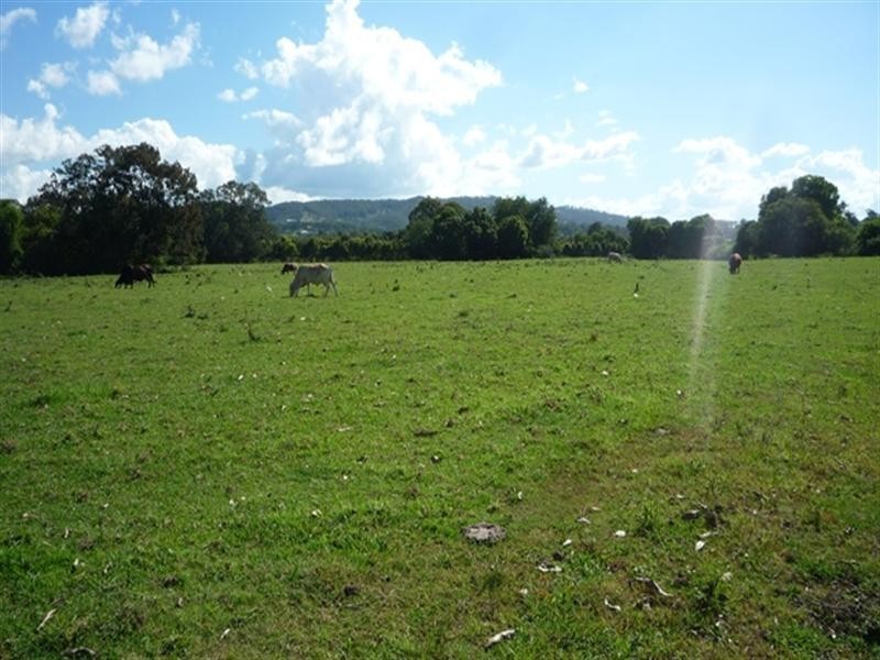 42 Somerset Drive, Mudgeeraba QLD 4213