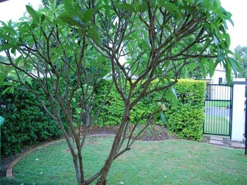 2/15 Lee Road, Runaway Bay QLD 4216