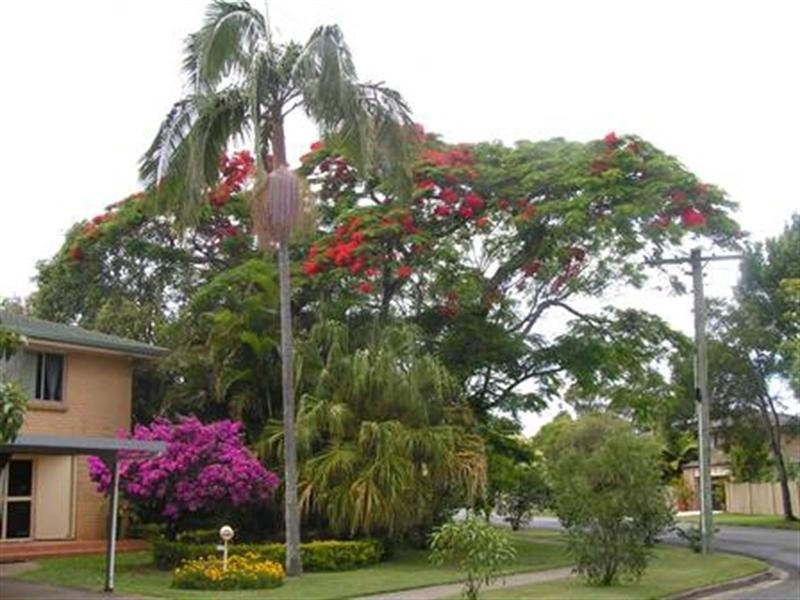 9 Deagon Drive, Runaway Bay QLD 4216