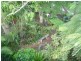 9 Deagon Drive, Runaway Bay QLD 4216