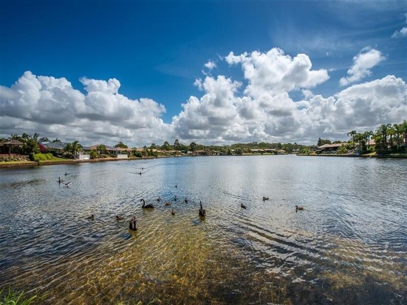 2/17 Kangaroo Avenue, Coombabah QLD 4216