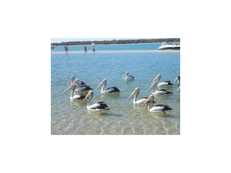 81 Brighton Street – Pelican 1, Biggera Waters QLD 4216
