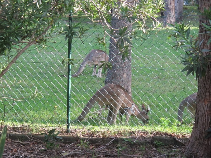 6/402 Pine Ridge Road, Coombabah QLD 4216